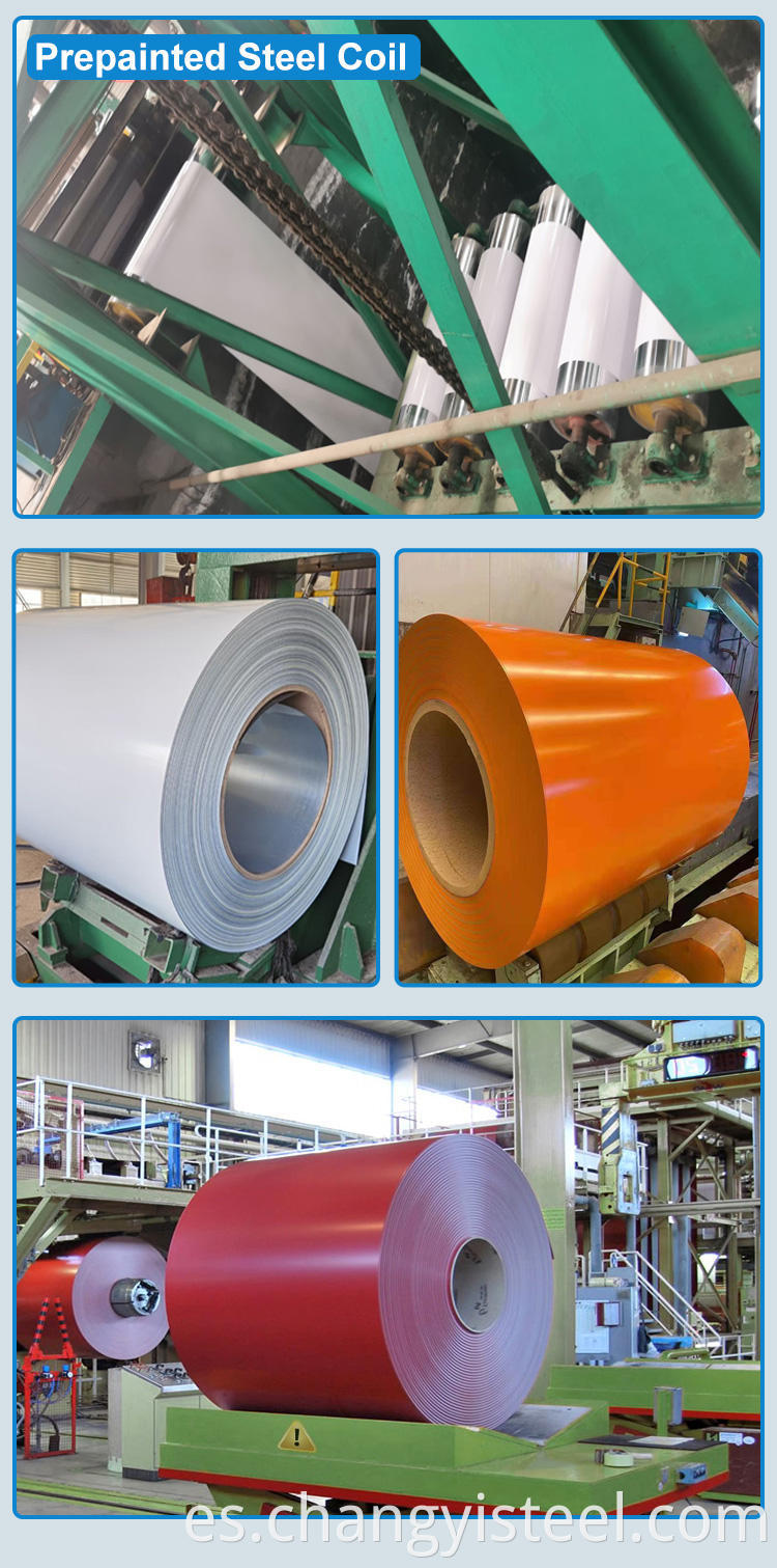 Prepainted Steel Coils